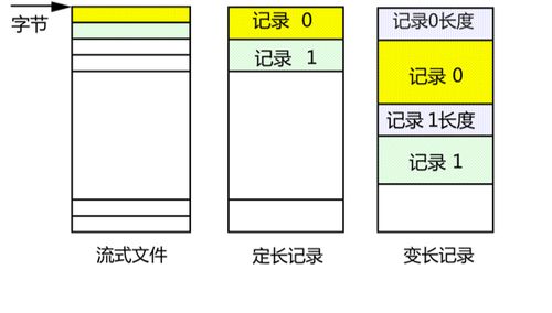 操作系统笔记整理11 文件和文件系统